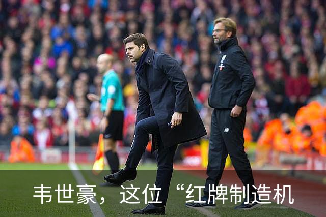 韦世豪，这位“红牌制造机